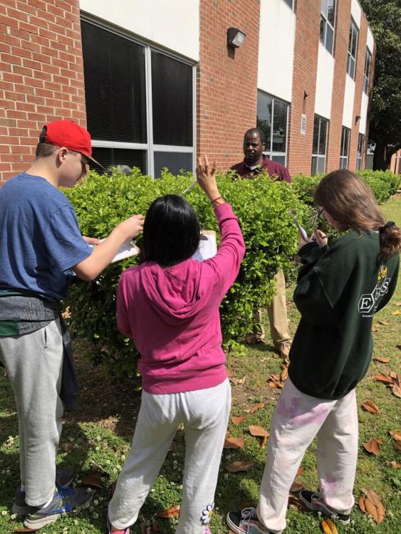Students measuring the dimensions of a hedge