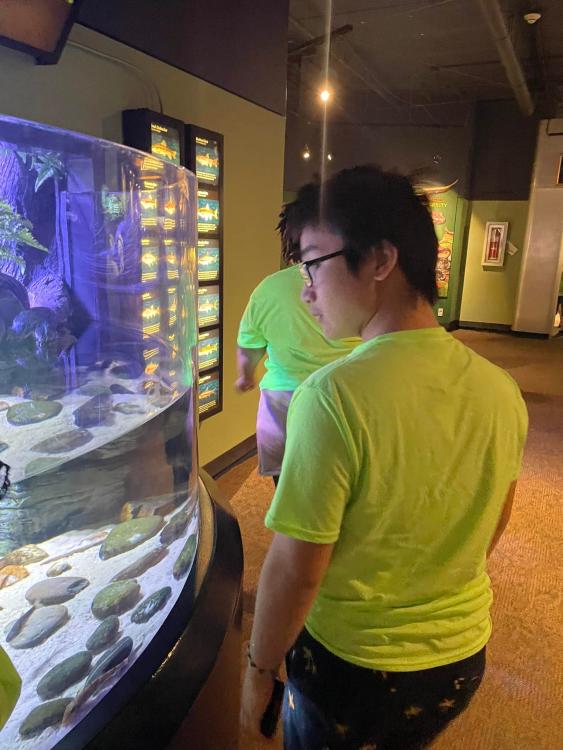 Student looking in an aquarium
