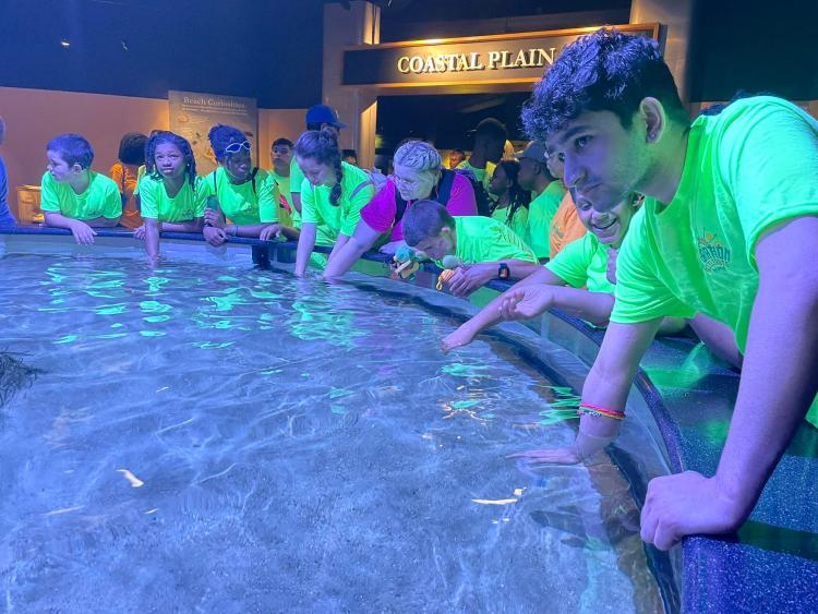 Students with their hands in the ray pool waiting to touch a ray.