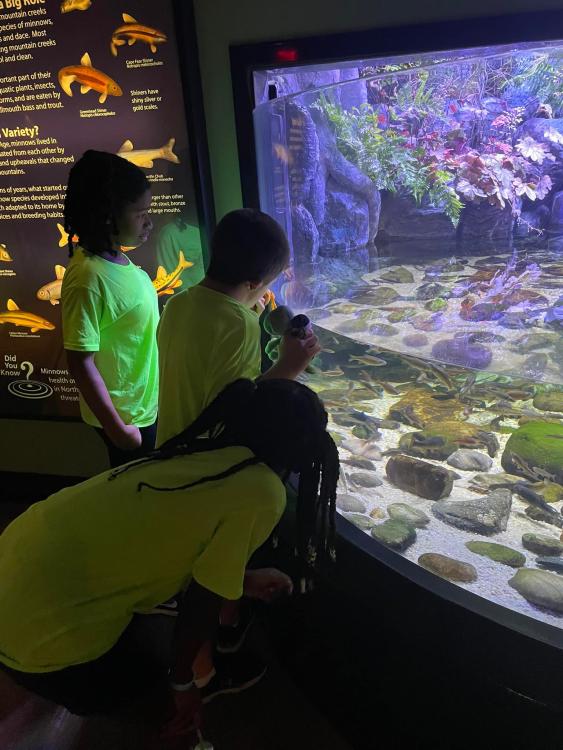 Students looking in an aquarium