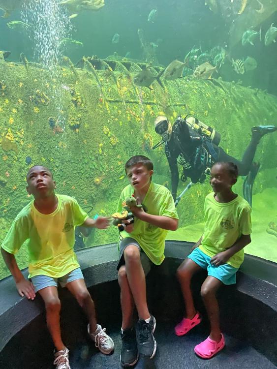 Students sitting in front of an aquarium where a diver swims
