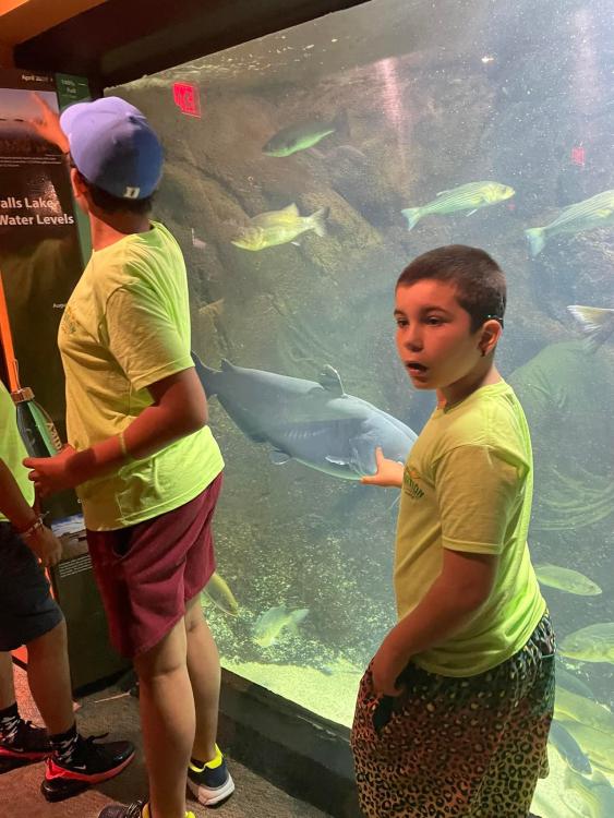 Student points at fish in an aquarium