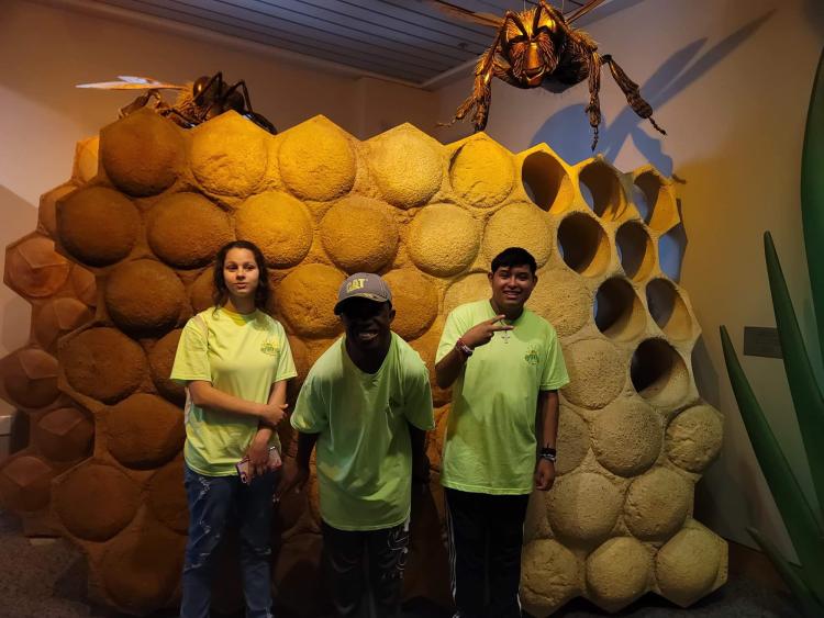 Students in front of giant display of bees with bee hive