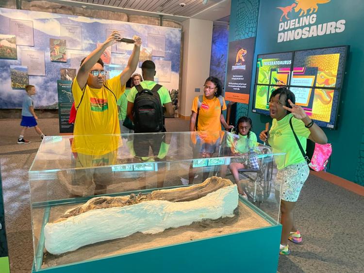 Students look at fossil dinosaur bones