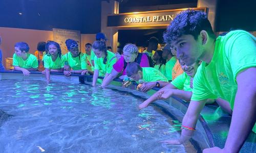 Students with their hands in the ray pool waiting to touch a ray.
