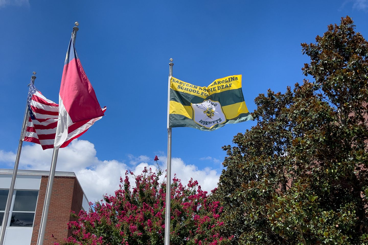 Waving Flag