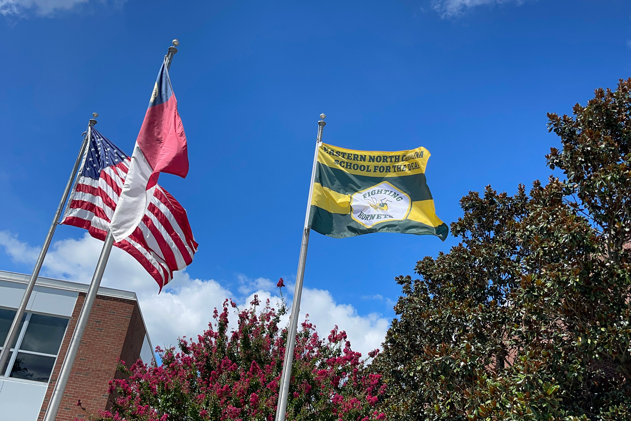 Waving Flag