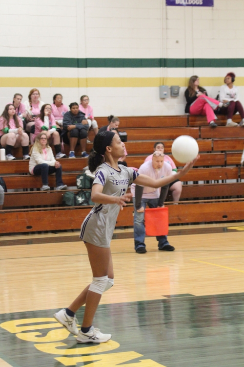 Mason Dixon Volleyball Tournament