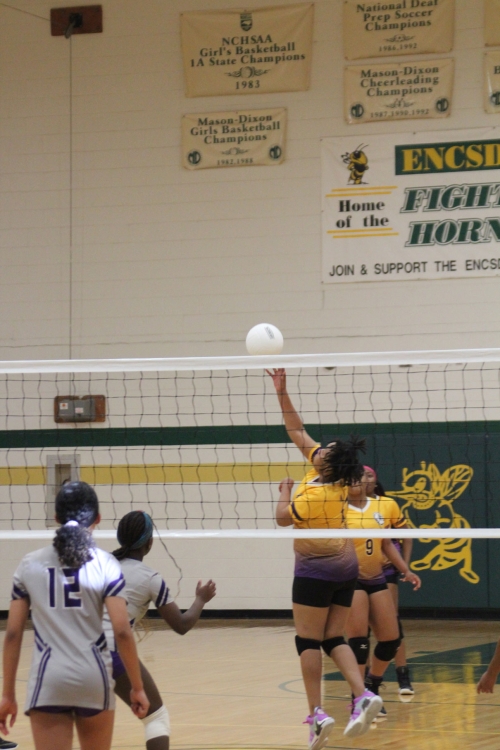 Mason Dixon Volleyball Tournament