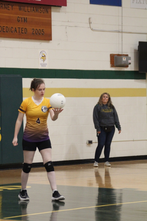 Mason Dixon Volleyball Tournament