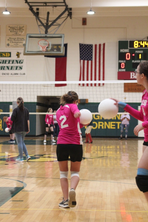 Mason Dixon Volleyball Tournament