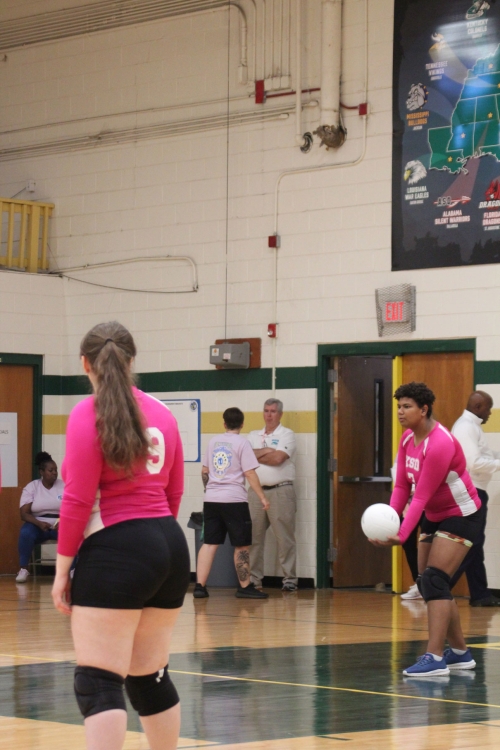 Mason Dixon Volleyball Tournament