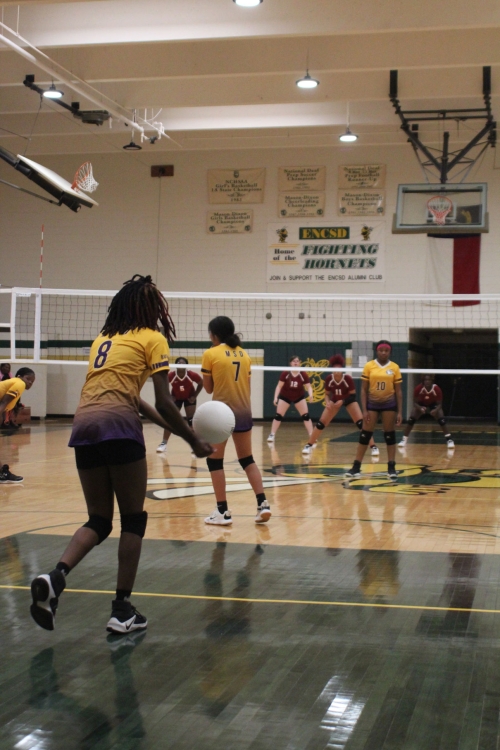 Mason Dixon Volleyball Tournament