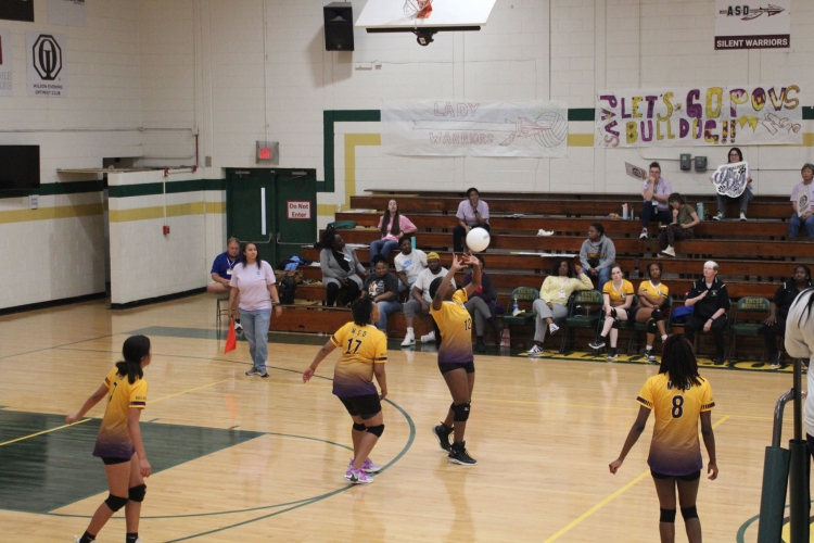 Mason Dixon Volleyball Tournament