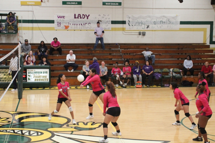 Mason Dixon Volleyball Tournament