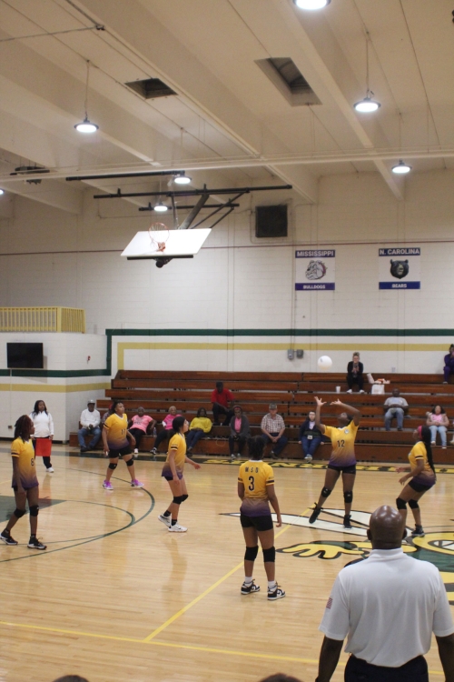 Mason Dixon Volleyball Tournament