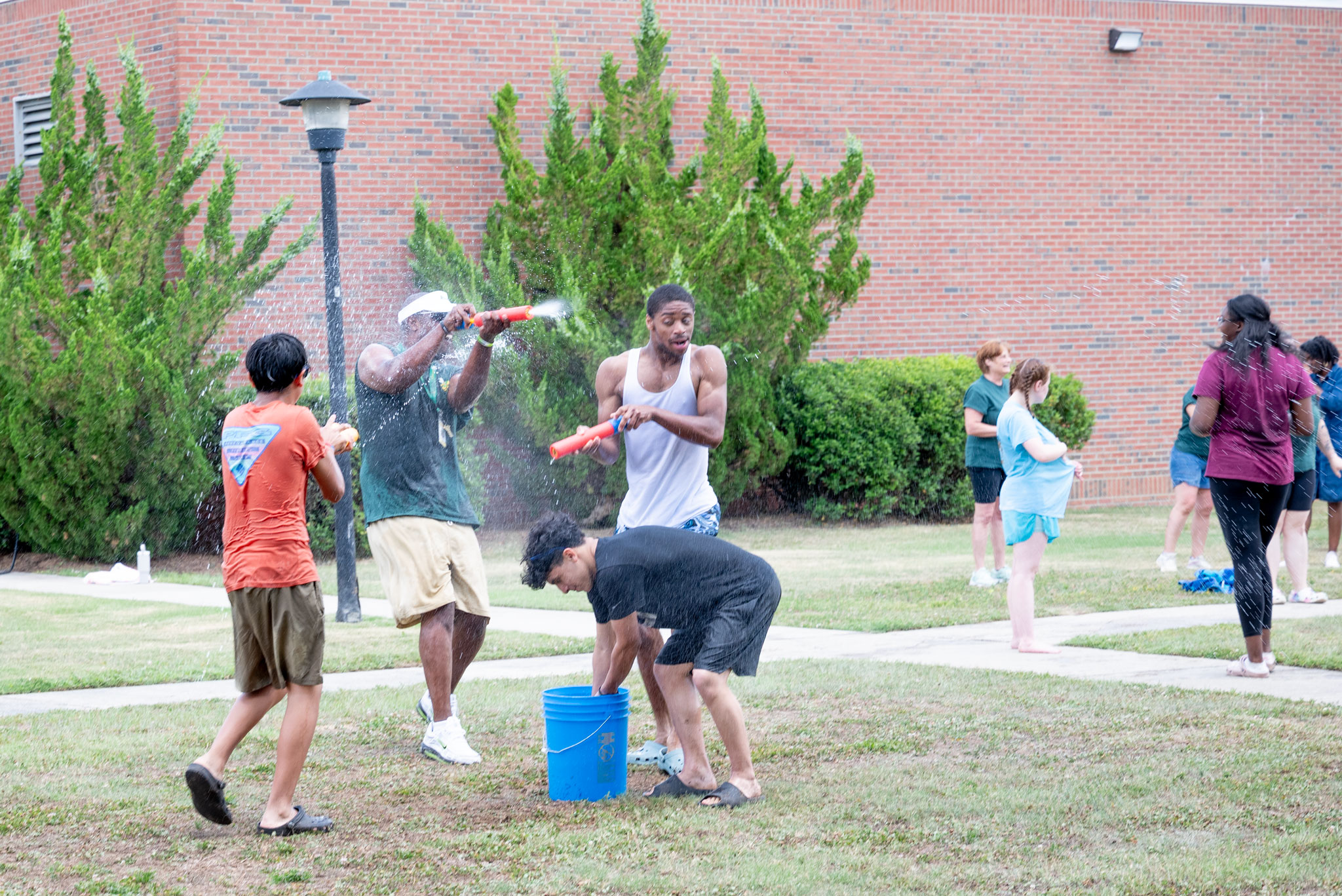 Field Day