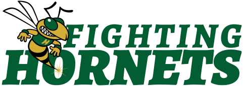 Fighting Hornets