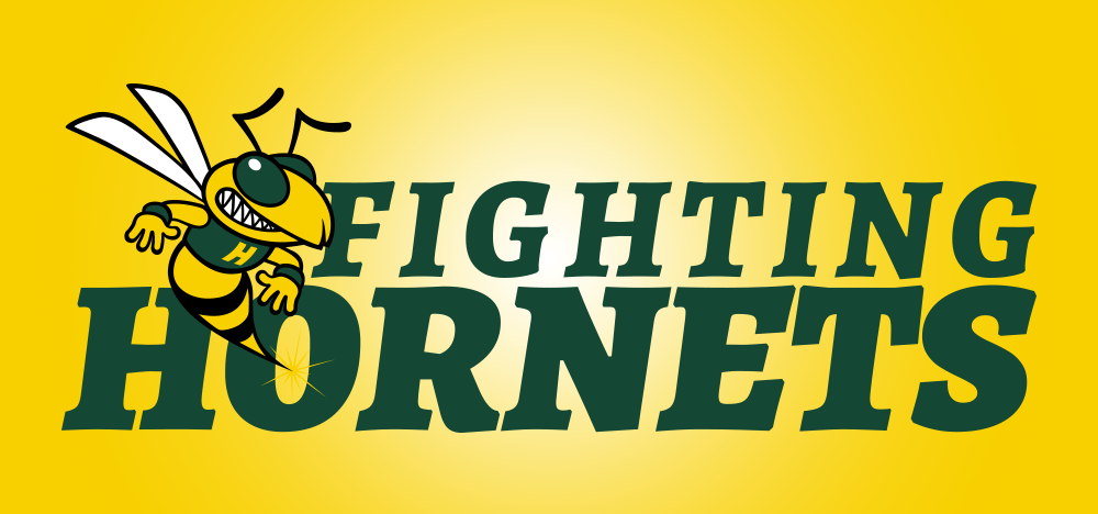 Fighting Hornets