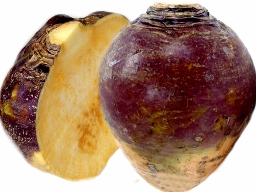 purple skinned rutabaga sliced in half