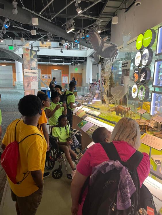 Students at the NC Museum of Natural Sciences