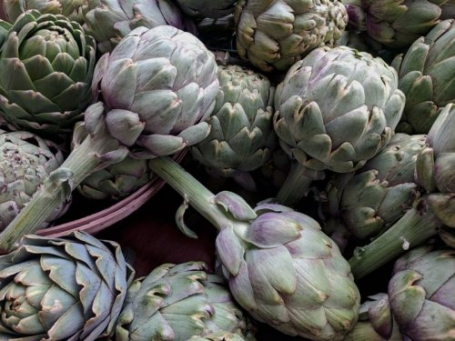 artichokes with stems