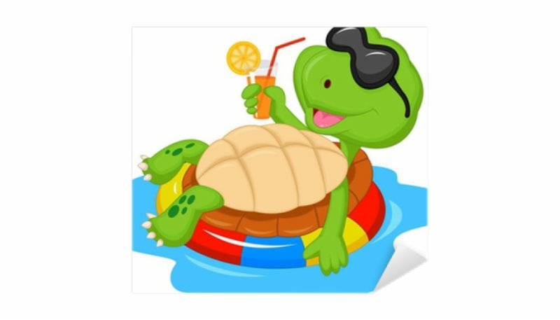 Turtle